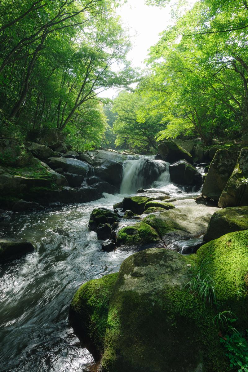 【保存版】日本の美しい渓流5選：大自然が織りなす絶景を画像とURLと共に紹介