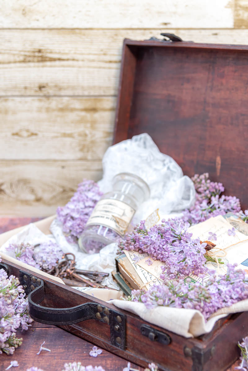 【広島発】日帰りで行けるおすすめ観光地9選画像付き