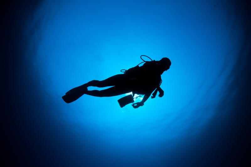 日本のブルーツーリズム成功事例から学ぶ、地域活性化のヒント