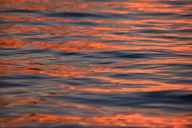 お歳暮の帝王！揖保乃糸が長年愛される10の魅力｜贈るべき理由と選び方も解説